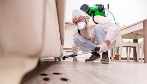 Best Pest Prevention Services  in Arlington, GA